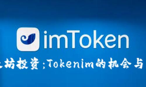 小额以太坊投资：Tokenim的机会与风险解析