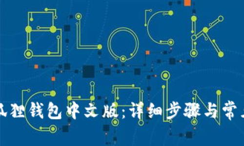 如何设置狐狸钱包中文版:详细步骤与常见问题解答