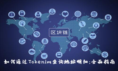 如何通过Tokenim查询地址明细:全面指南