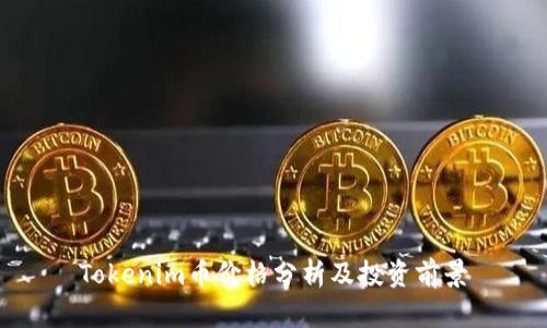 Tokenim币价格分析及投资前景