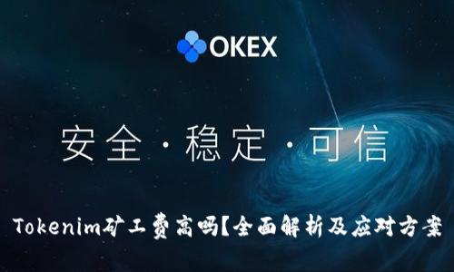 Tokenim矿工费高吗?全面解析及应对方案