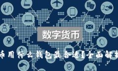 买虚拟币用什么钱包最合适？全面解析