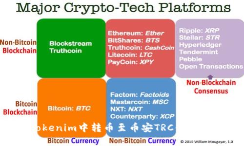 如何在Tokenim中转币至币安TRC体系:详细指南