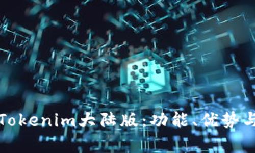 全面解析Tokenim大陆版:功能、优势与应用场景