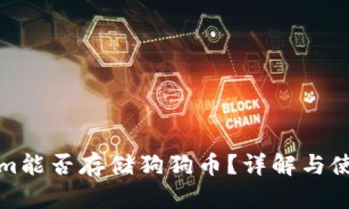 Tokenim能否存储狗狗币?详解与使用指南