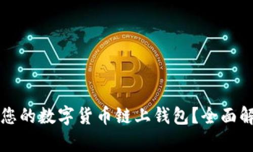 如何选择适合您的数字货币链上钱包?全面解析与最佳实践