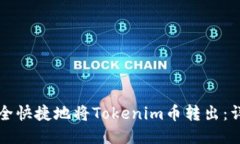 如何安全快捷地将Tokenim币转出：详细